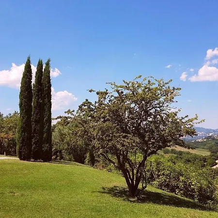 Vakantiehuis Casa Palazzini 